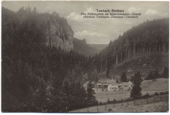 AK Tambach-Dietharz Der Falkenstein im Schmalwasser-Grund 1913