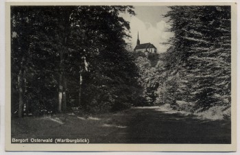 AK Foto Bergort Osterwald Elze Wartburgblick b. Salzhemmendorf 1931