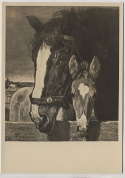 Künstler-AK München Haus der Deutschen Kunst Paul Junghanns Mutter und Sohn Pferd mit Fohlen 1940