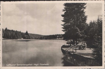 AK Luftkurort Tannenbergsthal Thierteich b. Muldenhammer Vogtland 1939
