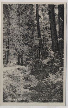VERKAUFT !!!   AK Foto Geschwenda Thüringer Wald Umgebung Im Sieglitzgrund 1955