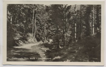 AK Foto Gräfenroda Thüringer Wald Sieglitzgrund 1955