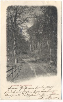 AK Gruss aus dem Sachsenwald Friedrichsruh Aumühle 1899