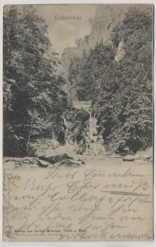 AK Thale / Harz Teufelsbrücke 1903