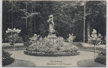AK Straßburg im Elsass Gänseliesel in der Orangerie Strasbourg Bas-Rhin Frankreich Feldpost 1915