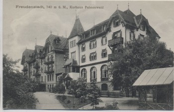 VERKAUFT !!!      AK Freudenstadt Kurhaus Palmenwald 1910