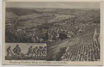 AK Freyburg ( Unstrut ) Blick vom Schlüfter und Edelacker 1920
