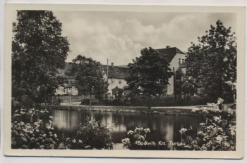 AK Foto Bockwitz Krs. Torgau Ortsansicht mit Teich b. Belgern-Schildau Landpoststempel 1959