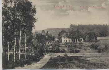 AK Limbach-Oberfrohna Partie an der Knaumühle Sachsen 1919