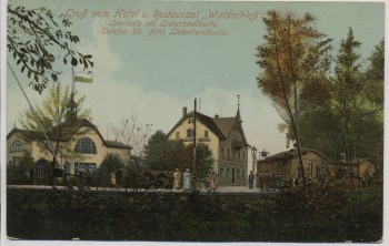AK Gruß vom Hotel u. Restaurant Waldschloß Oberholz b. Liebertwolkwitz Großpösna 1914