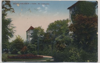 AK Mühlhausen/Thüringen Am Lindenbühl 1913