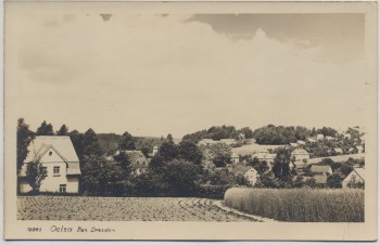 AK Foto Oelsa Ortsansicht b. Rabenau Freital 1953