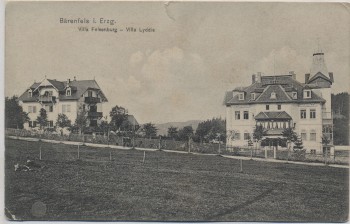 AK Bärenfels im Erzgebirge Villa Felsenburg und Lydia b. Altenberg 1908