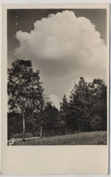 AK Foto Velbert Rhld Sommer im Herminghauspark 1940