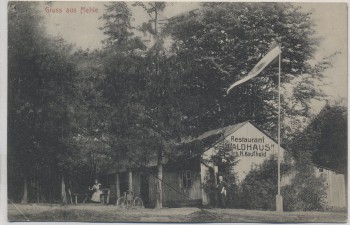 AK Gruss aus Mehle Restaurant Waldhaus b. Elze 1905 RAR
