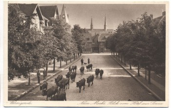 AK Wernigerode Neuer Markt Blick vom Hotel zur Sonne Viehtrieb 1930