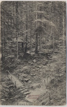 AK Freudenstadt Teuchelweg mit Hütte 1905