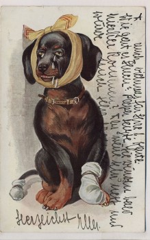 Künstler-AK Dackel Dachshund mit Verband Zahnschmerzen 1911