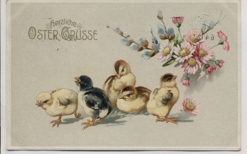 Künstler-AK Herzliche Ostergrüsse 5 Küken mit Blumen 1912