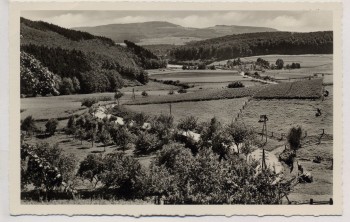 AK Foto Aussicht vom Fremdenheim Boeckler in Meiborssen b. Vahlbruch Polle 1940