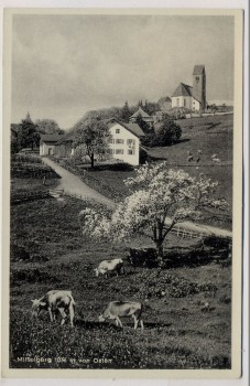 AK Oy-Mittelberg 1036 m von Osten Kirche und Kühe 1940