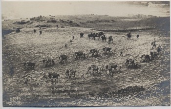 AK Foto Original Aufnahme vom feindlichen Kriegsschauplatz Schottische Gebirgsbatterie 1. WK Verlag Gustav Liersch 1915 RAR