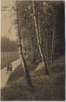 AK Hamburg Bergedorf Birken im Park 2 Kinder 1915 RAR