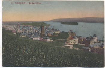 AK Rüdesheim am Rhein Gesamtansicht 1920