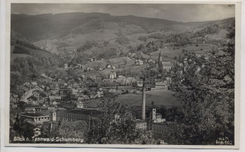 AK Foto Tannwald Schumburg Ortsansicht mit Fabrik Tanvald Šumburk nad Desnou Böhmen Tschechien 1933