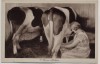 AK Landjugendheim Finkenkrug Beim Melken Kühe b. Seegefeld Falkensee 1930