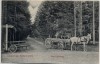 AK Ostseebad Kellenhusen Am Kreuzweg Fahrrad mit Pferdekutsche 1911