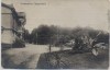 VERKAUFT !!!   AK Foto Schiessplatz Tangerhütte Logierhaus mit Kanone und Palmen 1920 RAR