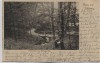 AK Gruß aus Schleswig Wickeltal im Tiergarten 1900