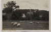 AK Foto Bremen Blick auf Villa Marssel mit Schafen Bremer Schweiz Burglesum Lesum 1935