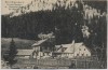 AK Neuwald bei Frein Karl Digruber's Gasthaus bei St. Aegyd am Neuwalde Mürzsteg Niederösterreich Österreich 1920