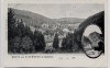 AK Gruss aus Altenbrak im Bodetal bei Thale 1905