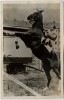 AK Foto Zirkus Frankello Erwin Frankello auf Pferd 1955