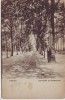 AK Demmin Promenade im Devenerholz 1925