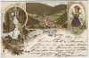 Litho Gruss aus Triberg im Schwarzwald Wasserfall Tracht Ortsansicht 1897
