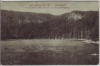 AK Blöckenstein-See im Böhmerwald Šumava Plöckensteinsee Plešné jezero bei Neuofen Nová Pec Böhmen Tschechien 1920