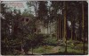 AK Lichtenberg (Oberfranken) Blick auf Burgruine 1910