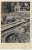 VERKAUFT !!!   AK Foto Dresden Reichsgartenschau Im vielgestaltigen Garten sonnt sich der Froschkönig 1936