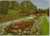 AK Foto Forst (Lausitz) Rosengarten Nachgebühr 1969