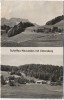 AK Scheffau Neusieden mit Untersberg b. Marktschellenberg Bayern 1955