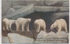 AK Hamburg Stellingen Carl Hagenbeck's Tierpark Eisbären im Nordland-Panorama 1910
