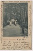 AK Gruss aus Augustusbad Ringpromenade mit Kindern b. Liegau Radeberg 1902