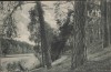 AK Am Ihland-See bei Strausberg 1910