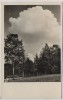 AK Foto Velbert Rhld Sommer im Herminghauspark 1940