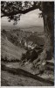 AK Foto Schwalenberg in Lippe Ortsansicht vom Baum 1957