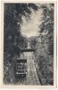 AK Bad Ems Malbergbahn mit Menschen 1910